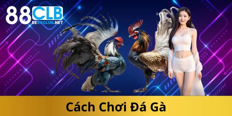 cach-choi-da-ga