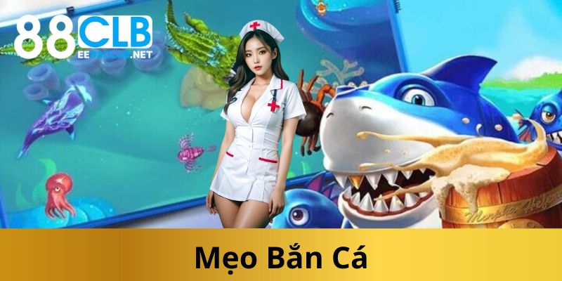 meo-ban-ca