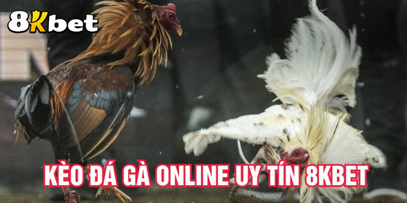 keo-da-ga-online-uy-tin-8kbet